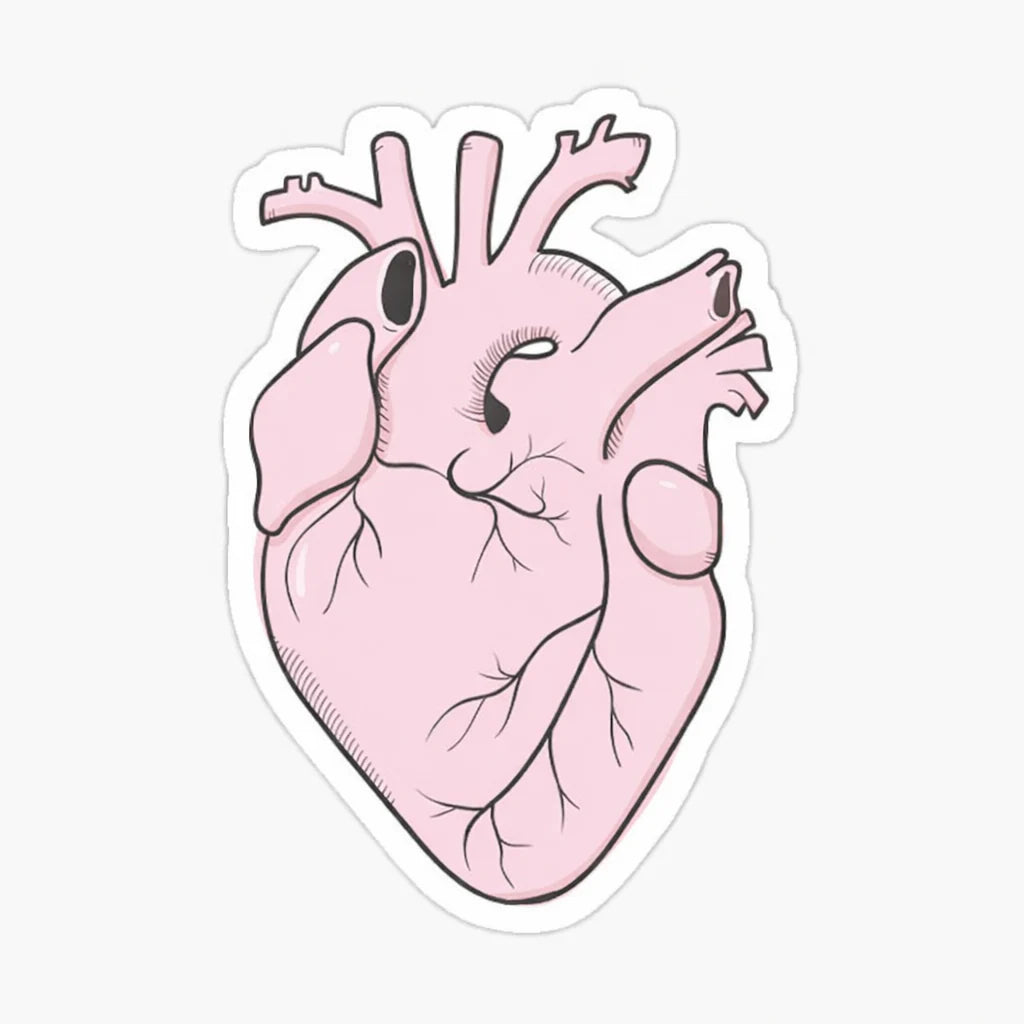 heart
