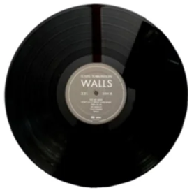 vinyl