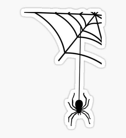 spider