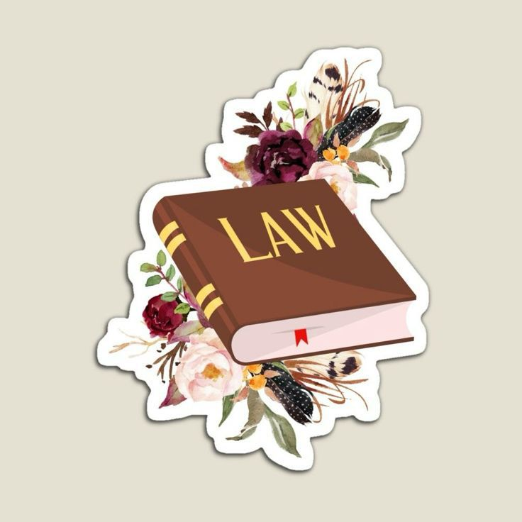 law يوجد اكثر من شكل حقوق
