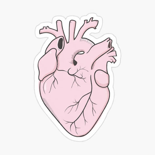 heart