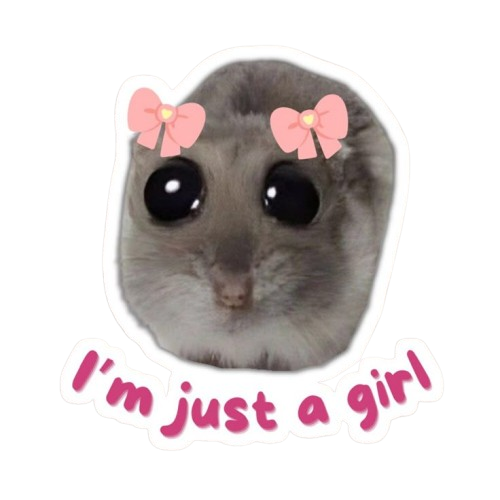 im just a girl