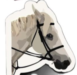 horse