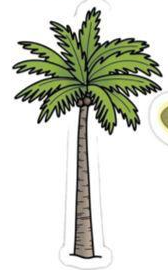 palm