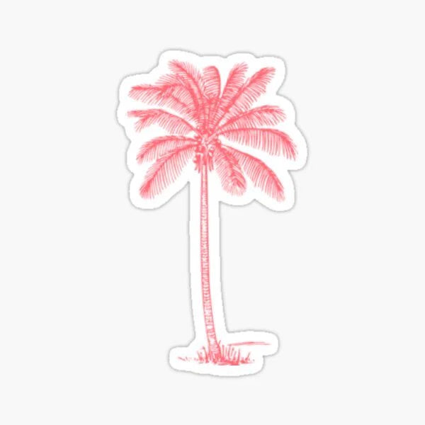palm